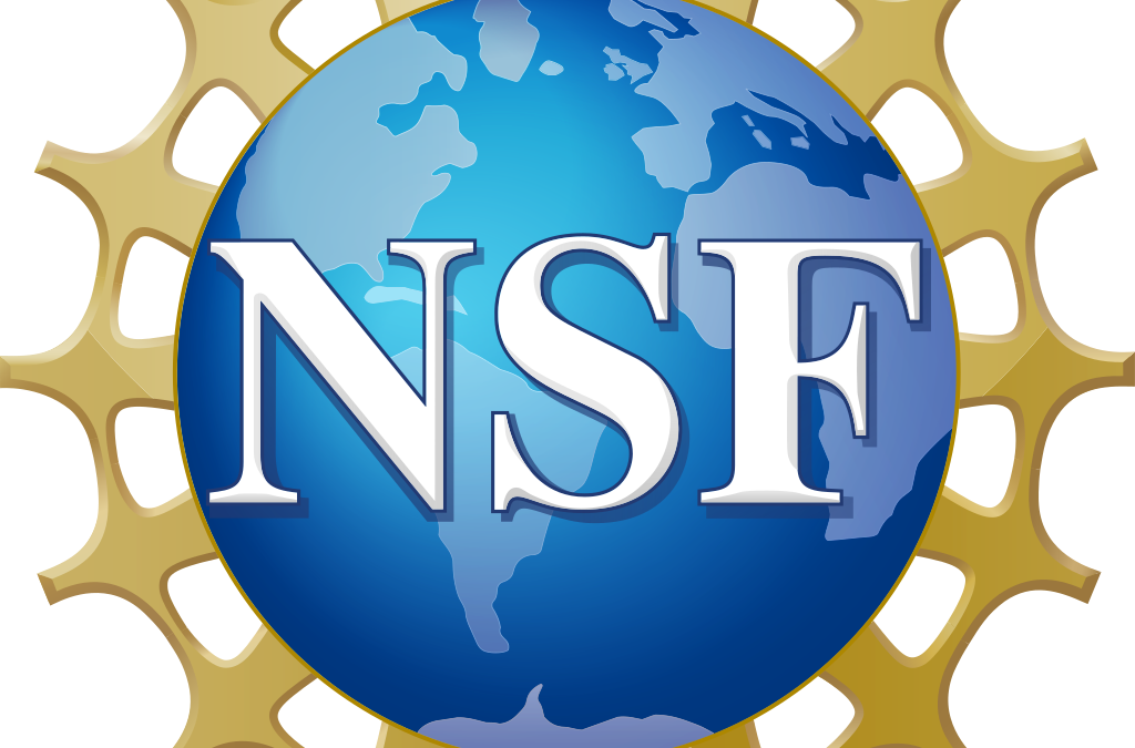 NSF CAREER award