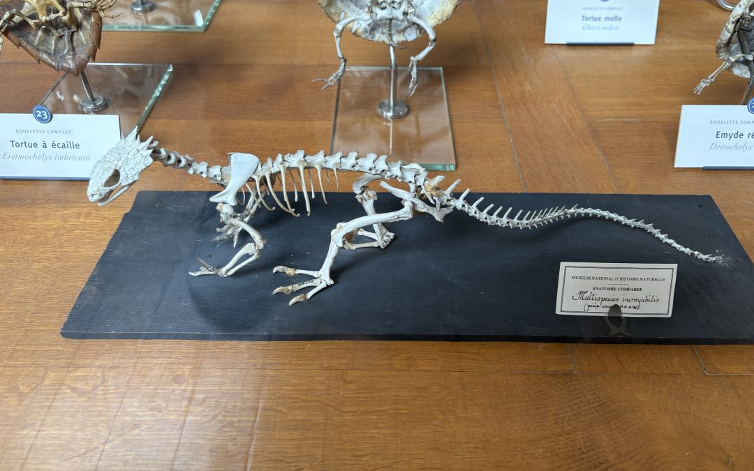 Paris Natural History Museum visit 2025