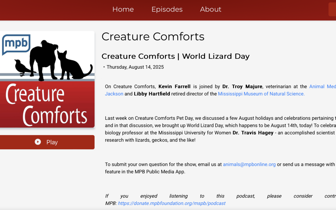 World Lizard Day Interview on MPB