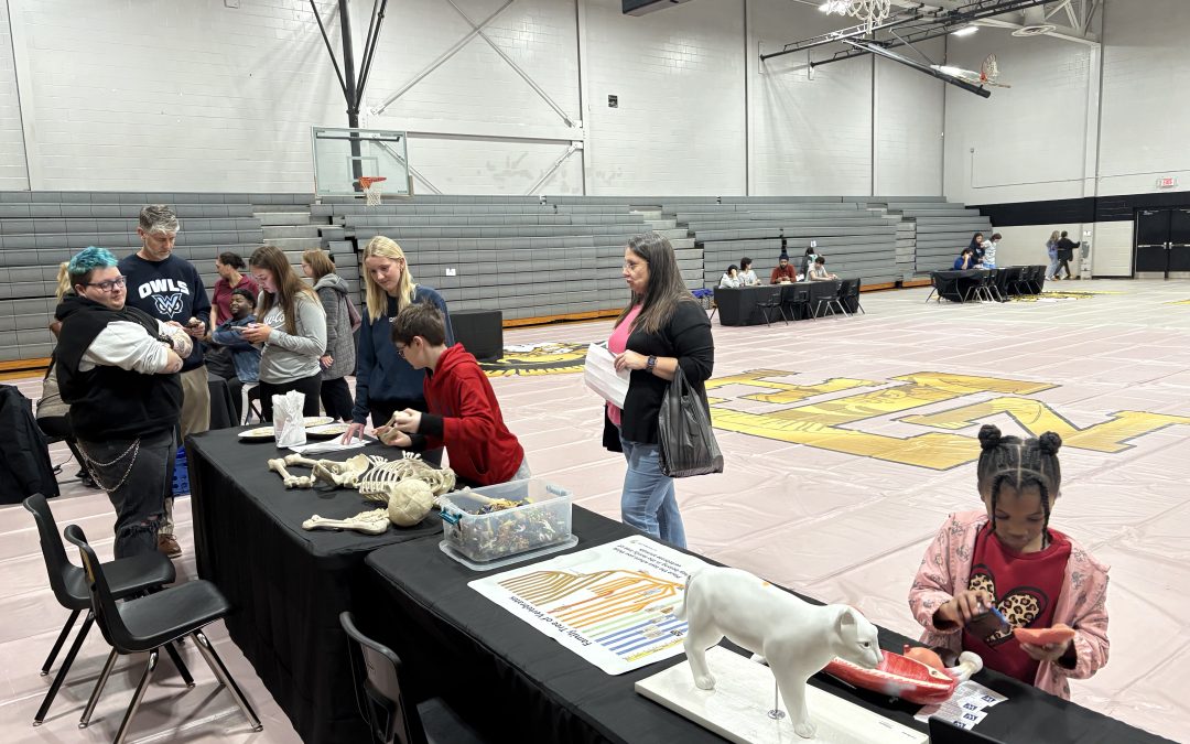 New Hope STEAM night